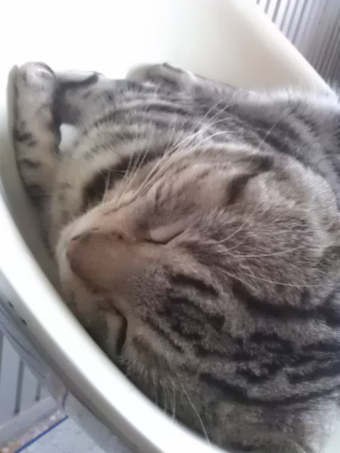 BIGGORIDER's tweet photo. http://t.co/JR97tHFW