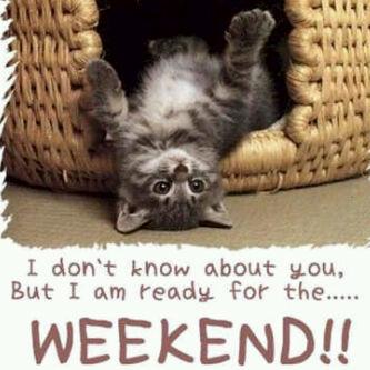 funwaysing's tweet image. TGIF... :)