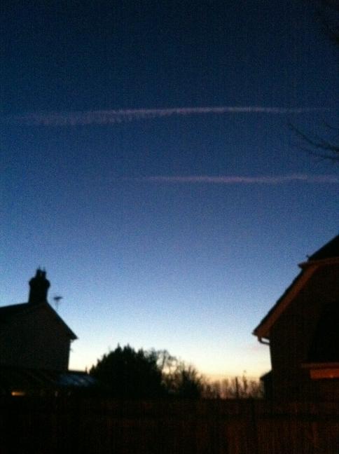 sfdo's tweet image. Feeling like #theearlybird that will catch the worm today. Anyone else feeling like it let us see your early bird shots