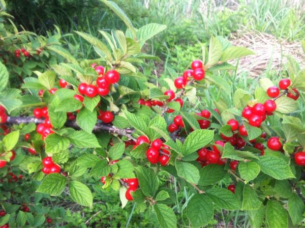 Jong min-Lee tweet media