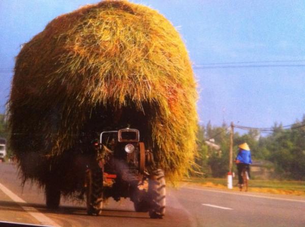 fillancq lysiane (@fillancq) on Twitter photo 