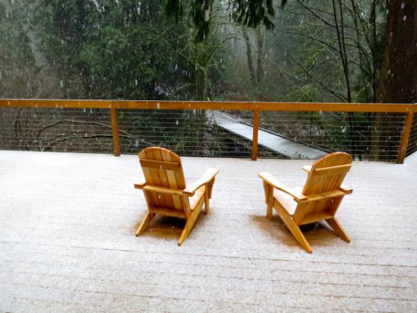 Snowing in Woodinville!