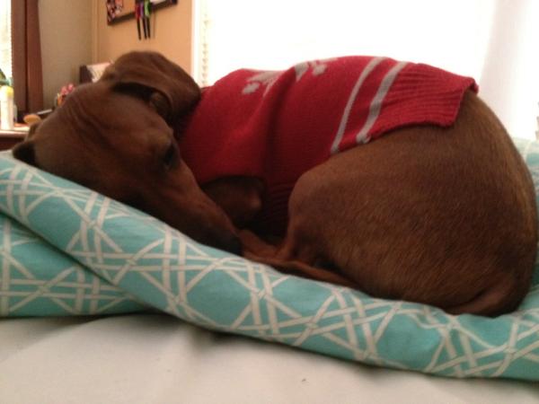 M_Gish's tweet image. #toocutetofunction