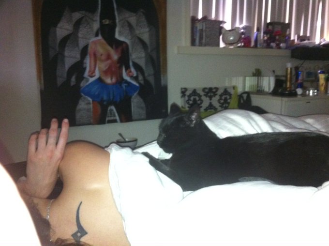 lol who belongs to who now bitch?!?! 🐱💋 http://t.co/EYcsOHHt<a href="/tag/fuckalimo"class="tags"><span>#fuckalimo</span></a>