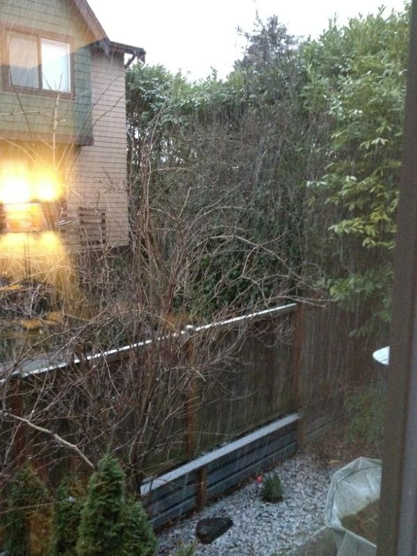 fly_evolution's tweet photo. Snow and sleet in Seattle today. No go on flying here today. http://t.co/EbHJU8Gm