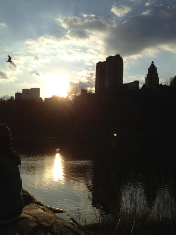 thepiddler's tweet image. 