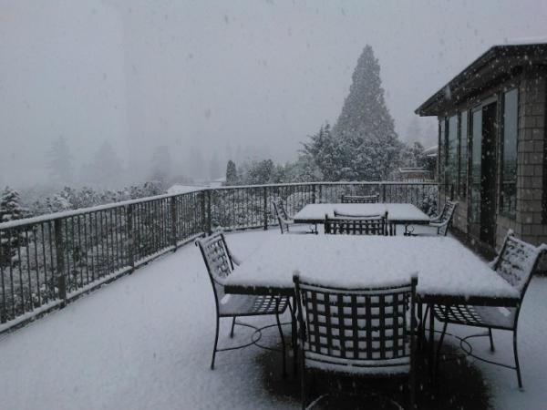qilu's tweet photo. snow in seattle http://t.co/ToO6sIDH
