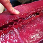 見た目で区别できなくて 不味ーーーいと酷評されるゴリガツオ ゴシガツオ イシガツオ キガツオの正体を探ってみた Togetter