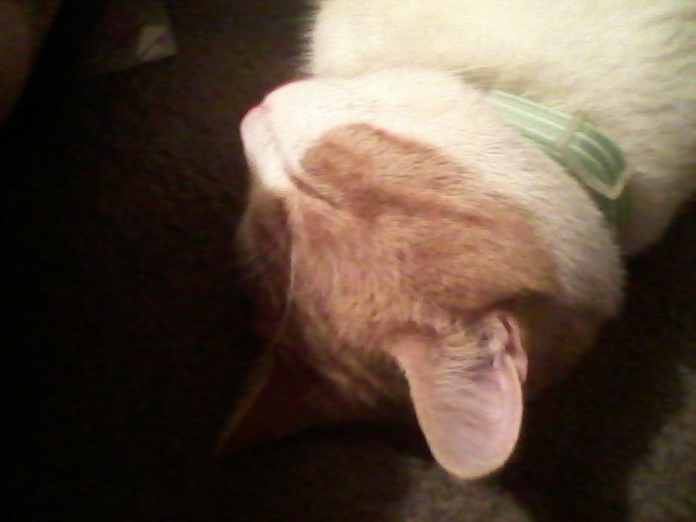 Watch EvonTeylor 💅🏾📸's leaked NSFW photo on TwXstars