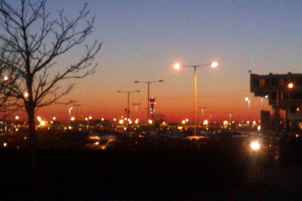 Alfie Purdue tweet media