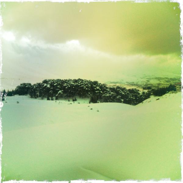 Samer Asfour tweet media