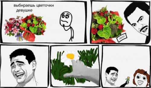 Подарил цветы прикол. Мемы про цветы. Смешные мемы про цветы. Шутки про цветы. Мемы с цветочками.