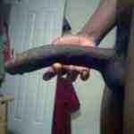 ShawnPython's tweet image. Gm twitter i just woke up n ihave morning wood n i just had to show u guyz #PYTHONlife