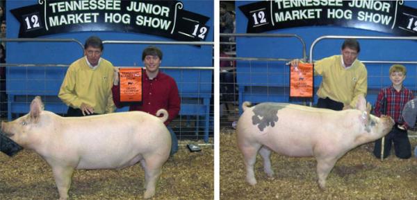 TNFarmers's tweet photo. Proud of outstanding #ag youth at 2012 TN Junior Market #Hog Show: Grand Champion Jared Bruhin & Reserve Heath Kimes: http://t.co/dgPZDgMn