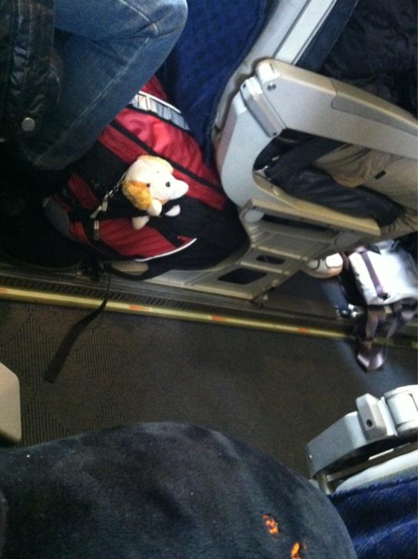 sztownsend81's tweet image. I'm pretty sure this bag doesn't really fit under the seat. #airplanetravel