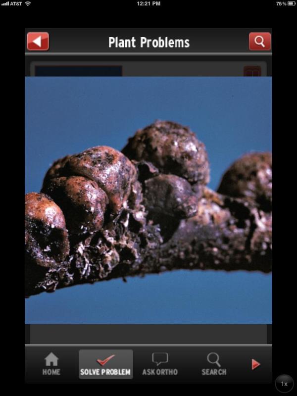 Any guesses on what this is? Send your #bestguess *Hint* find it & a solution on our #ipad problem solvers app
