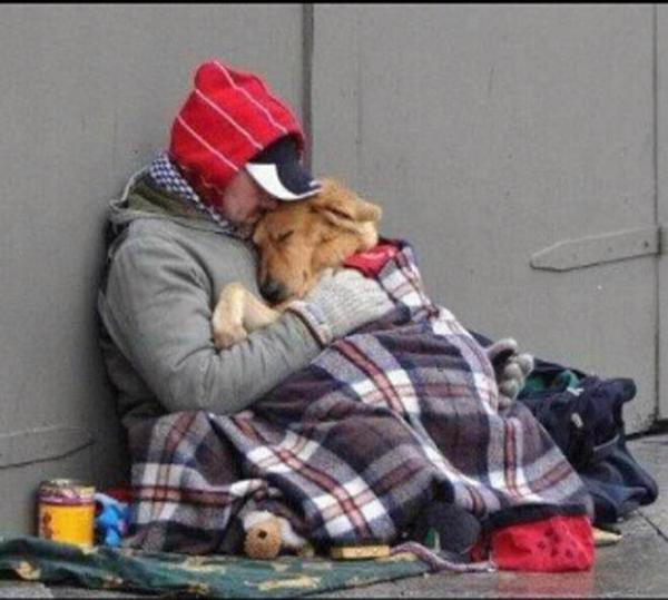 As a dog mom, I had to share this wisdom :) "It's only when u have nothing left, do u see who your true friends are" >