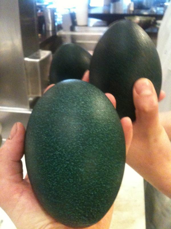 AnthonyStrong's tweet photo. Emu eggs! http://t.co/5L8QP0Bx