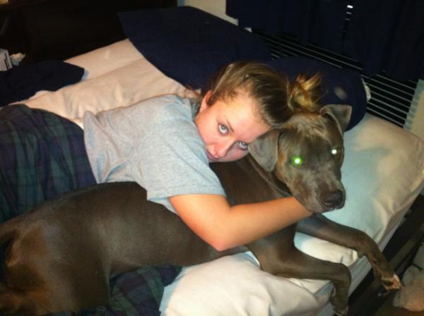 itsboxel89's tweet image. Lazy bums won't get out of bed #snugglesession