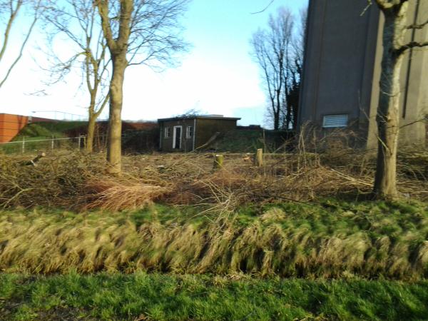 BasGerdingh's tweet image. Zo ziet het er nu uit bij de watertoren in Bolsward! Kap stilgelegd door politie! Dank aan oplettende Bolswarder!