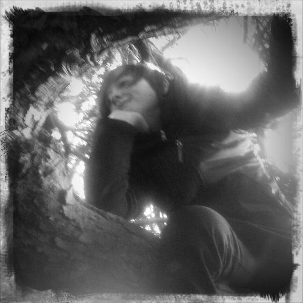 roberthowieson's tweet image. #treeboy