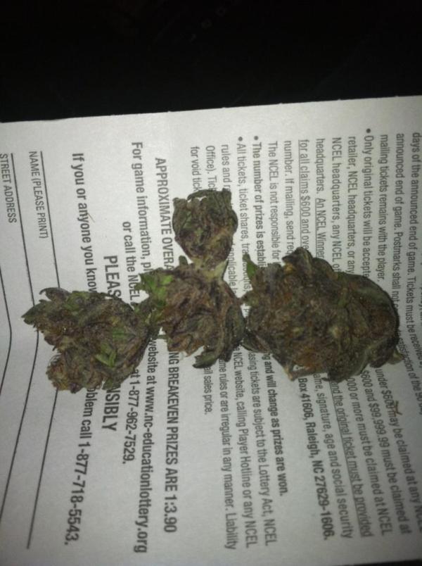 ILikeBudsDaily's tweet photo. purppppp http://t.co/vq16DGbX