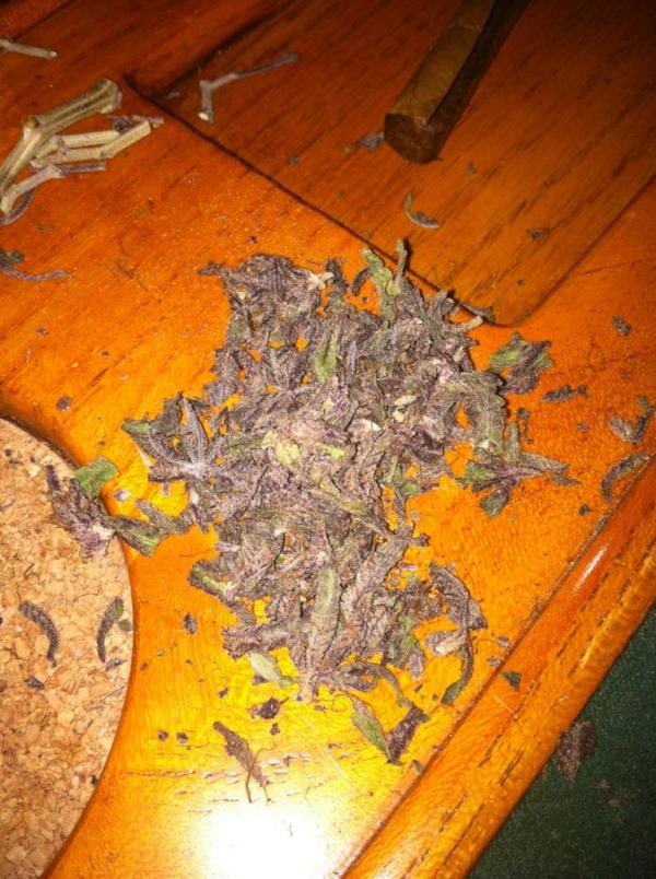 ILikeBudsDaily's tweet photo. #smokeme http://t.co/8kaTJiw3