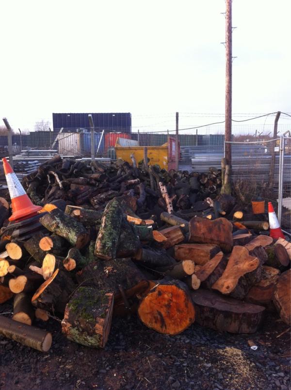 TechTrees's tweet image. Got wood?