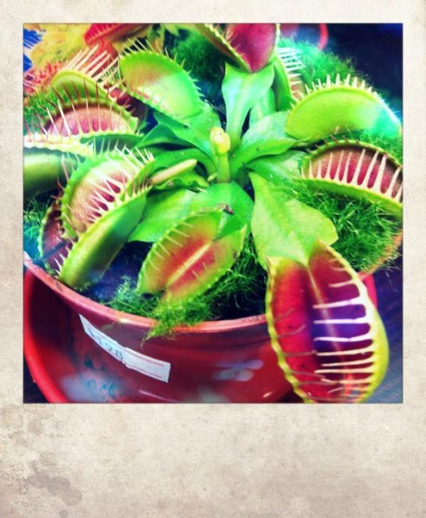 robinhwang tweet media