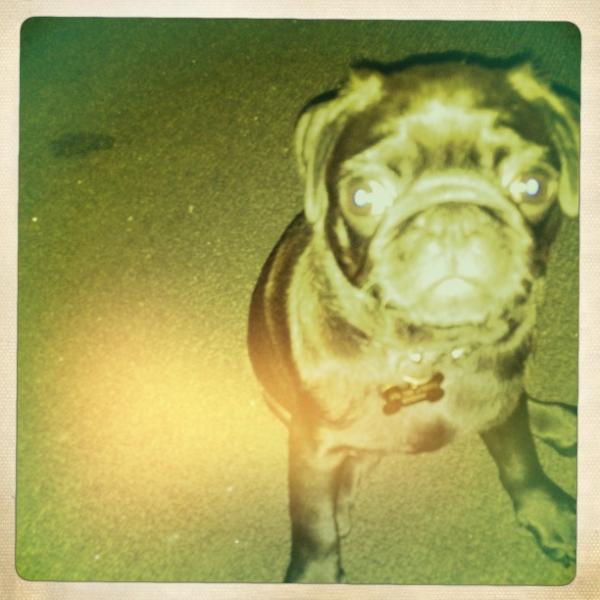 tarncham's tweet image. 