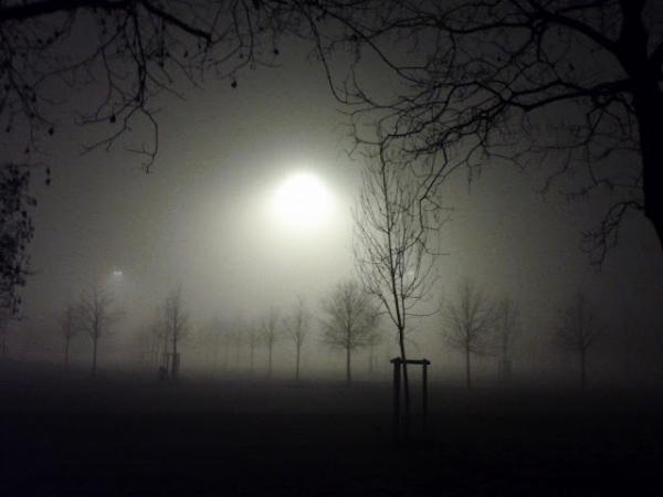 democt's tweet photo. A passeggio col cane. L'importante �� saper scegliere il luogo... #MilanByNight #Wherewolf? #Therewolf! http://t.co/ug39eXqx