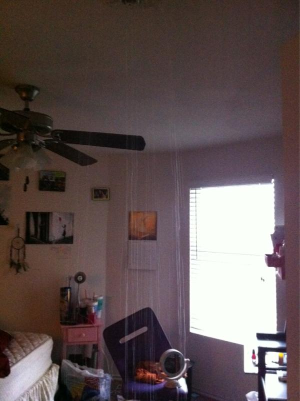 itsbrittbritt__'s tweet image. @bwarethewater @kasslorae this is NOT happening NOT happening #raininginside