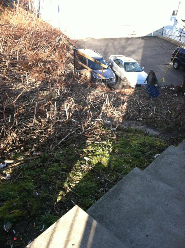 Mmmmmarissa's tweet image. Can man walking through the jungle #pizzle #WhatDoing