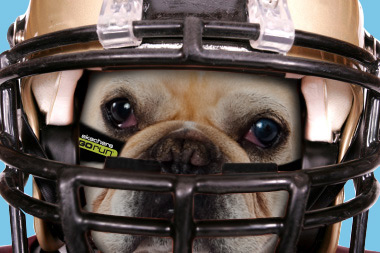 mrquiggly's tweet photo. Grrrrrrrrrrr!! http://t.co/ax0ONkSm