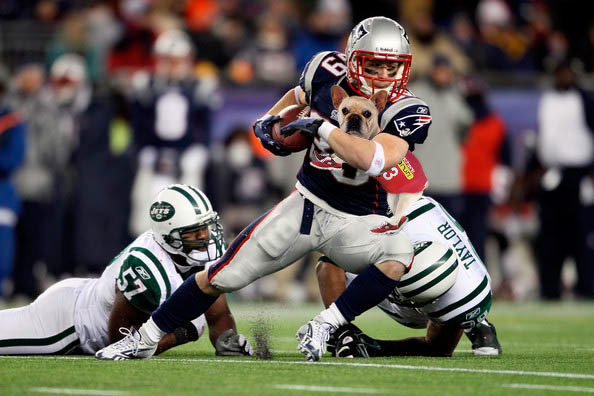 mrquiggly's tweet photo. Go Danny! http://t.co/mVoKlhmN