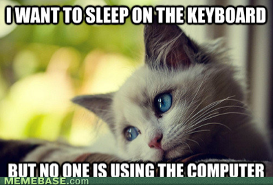 themanderzshow's tweet image. #CatWorldProblems