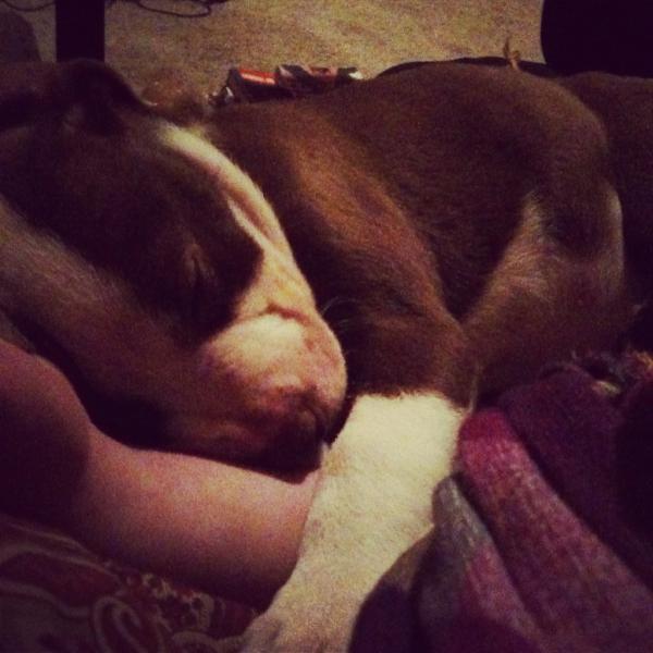 itsbkelz's tweet photo. This is my baby. http://t.co/dyx6f6ui