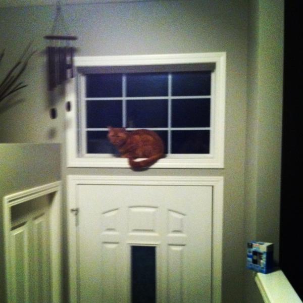 MrMontegue's tweet photo. I see everything from here. http://t.co/KksEP31c