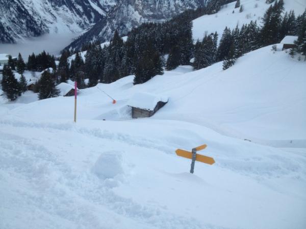 jenschr's tweet image. Snow? Where&apos;s my road? #gotoandski