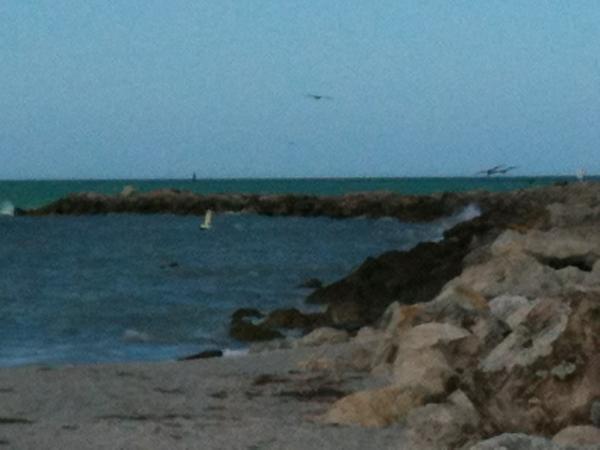 MaryMeccares's tweet photo. Clearwater Beach FL http://t.co/hBgatVU4