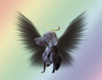 TriStateWeim tweet picture