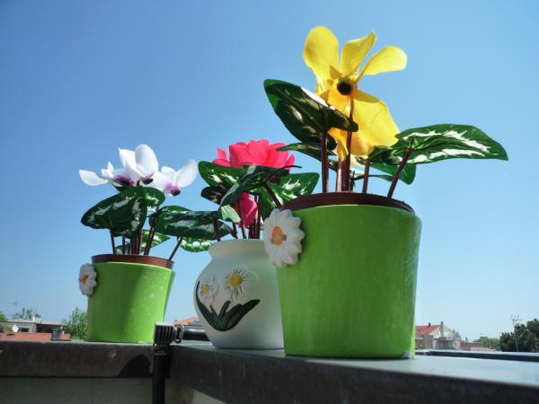vecchio999's tweet photo. bella foto! @bosqnet http://t.co/YBcjTk2Q