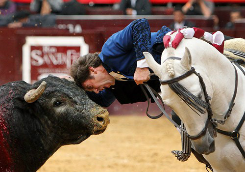 NaturaBosque's tweet photo. El rejoneador español Pablo Hermoso de Mendoza lidia con un toro en la Plaza de Toros La Santamaría de Bogotá. http://t.co/LczKyQHE