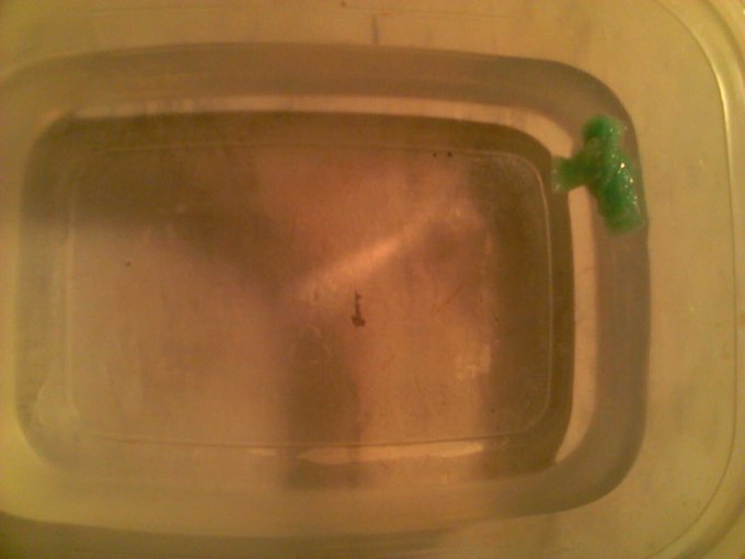 Watching the process of my " Safari Animals" come to life is so amazing #dontjudgeme http://t.co/jvR<a href="/tag/dontjudgeme"class="tags"><span>#dontjudgeme</span></a>