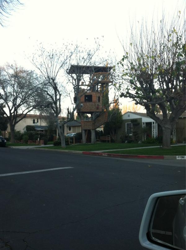 CallMeTrain's tweet image. This is the best treehouse I've ever seen!