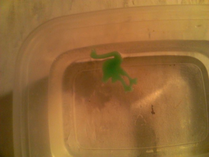 I feel so cheated rite nw ths is as big as my "Safari Animal" gets!? LOL! Liar! #dontjudgeme http://t<a href="/tag/dontjudgeme"class="tags"><span>#dontjudgeme</span></a>