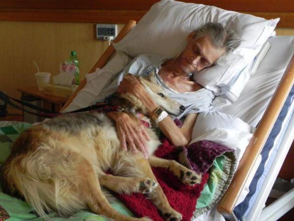 может ли собака любить человека. собака друг человека. собаки преданы человеку. собака самый верный друг. собака друг человека демотиватор.