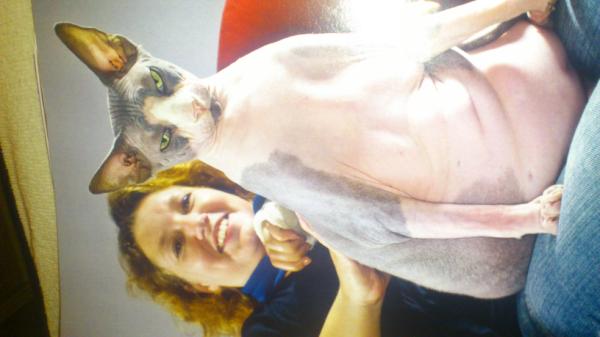 markkruizinga's tweet image. Wat een leuke kat!!