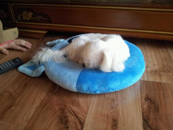 jin9008's tweet photo. http://t.co/V1SRe277