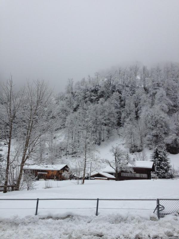 almeidavid_'s tweet image. Leaving gotoAndSki (); with @joao_madureira @peterelst hope to see you all next year! #gotoAndSki